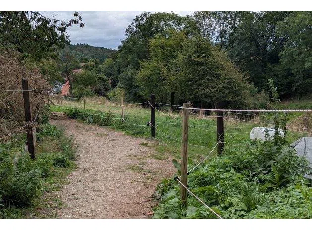 Weide_und_Trail