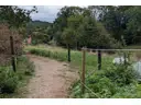 Weide_und_Trail