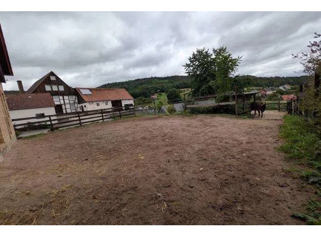 Naturreitplatz