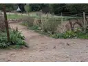 Trail