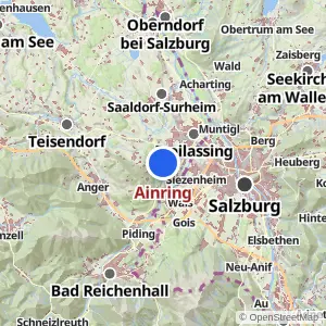 Kartenvorschau Ainring