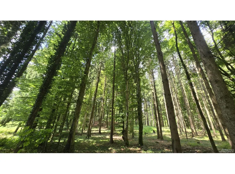 www.remax-prime.de