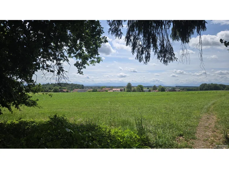 www.remax-prime.de