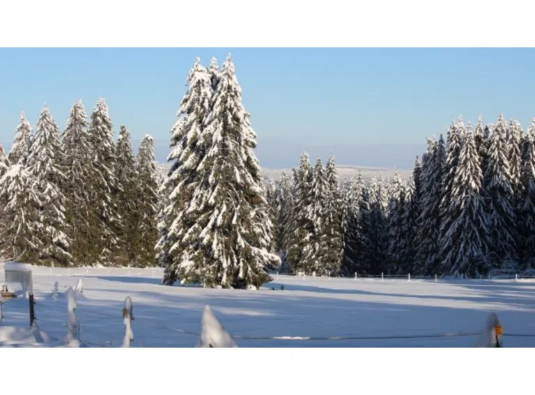 Winterlandschaft