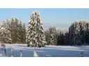 Winterlandschaft