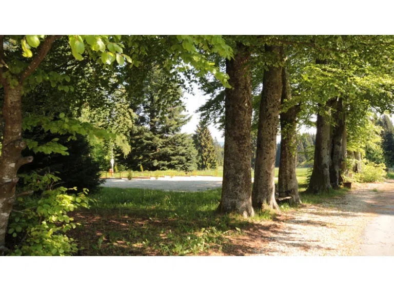 Allee
