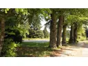 Allee