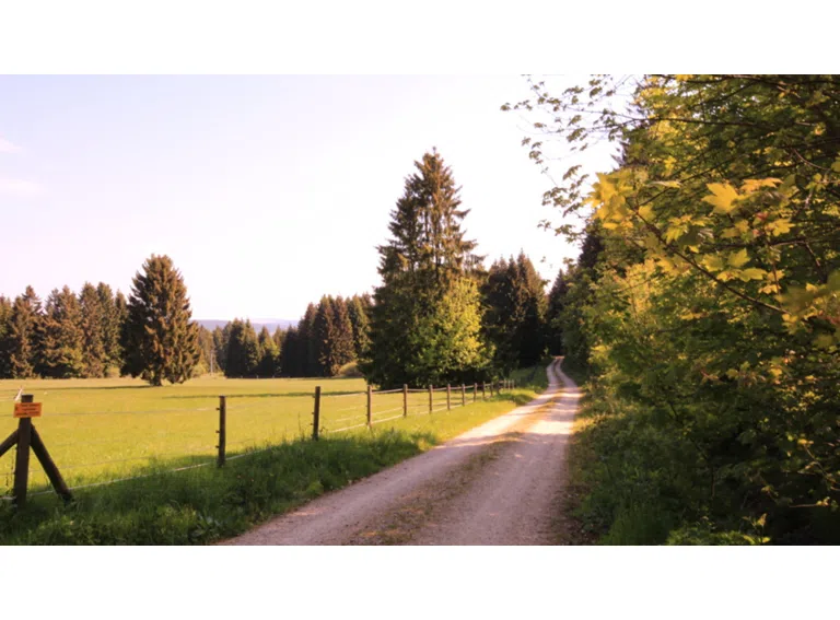 Außenanlage