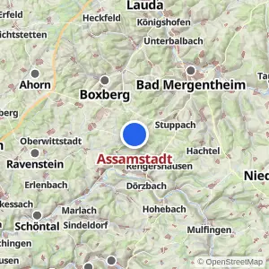 Kartenvorschau Assamstadt