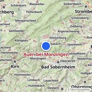 Kartenvorschau Auen bei Monzingen