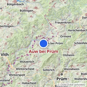 Kartenvorschau Auw bei Prüm