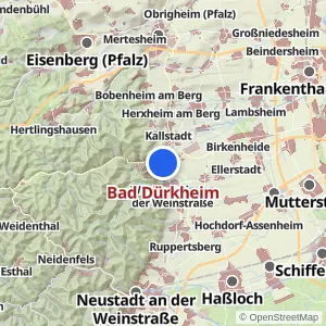 Kartenvorschau Bad Dürkheim