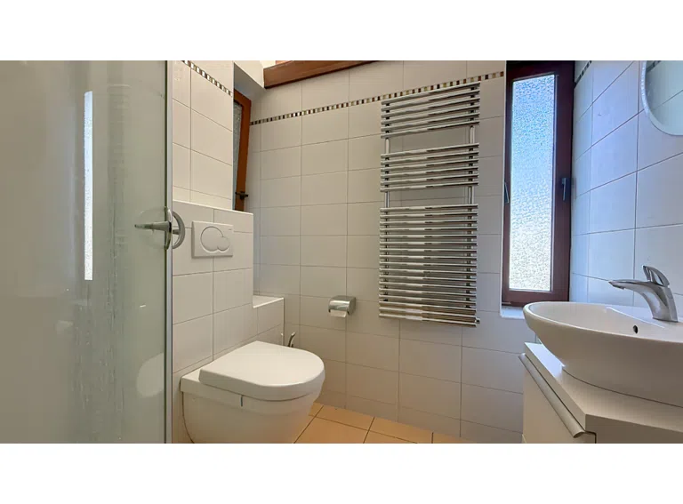 Duschbad 1