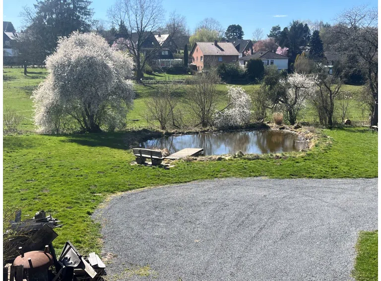 Blick aufs Grundstück