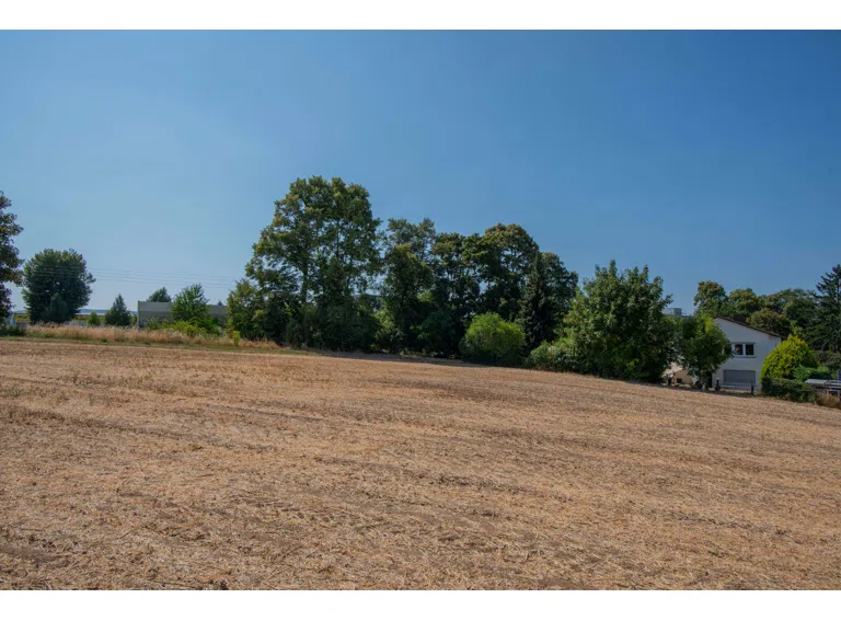 Blick aus dem Feld
