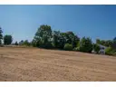 Blick aus dem Feld