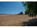 Blick ins Feld