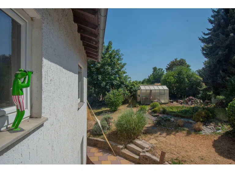 Blick in den Garten