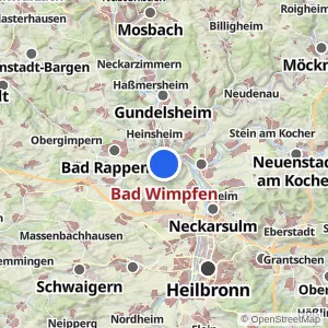 Kartenvorschau Bad Wimpfen