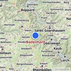 Kartenvorschau Badenhard