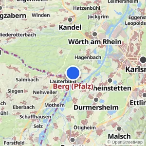 Kartenvorschau Berg (Pfalz)