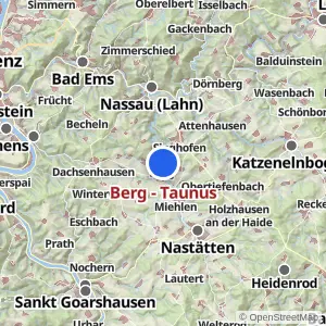 Kartenvorschau Berg - Taunus