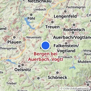 Kartenvorschau Bergen bei Auerbach, Vogtl