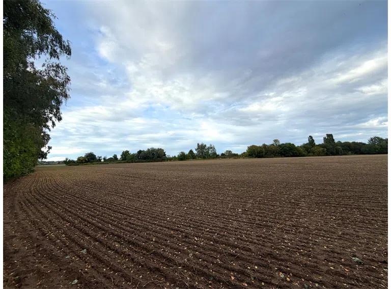 Weites Feld in der Nähe