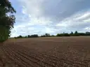 Weites Feld in der Nähe