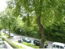 Blick vom Balkon