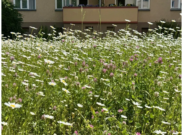 Die Natur