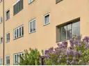 Die Wohnung