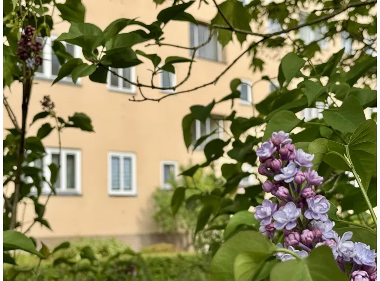 Die Wohnung