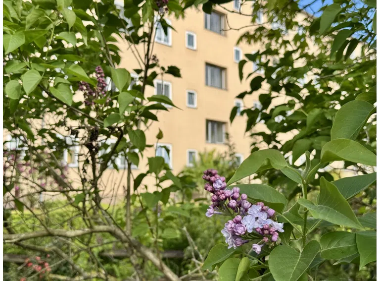 Die Wohnung