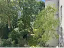 Der Hofblick