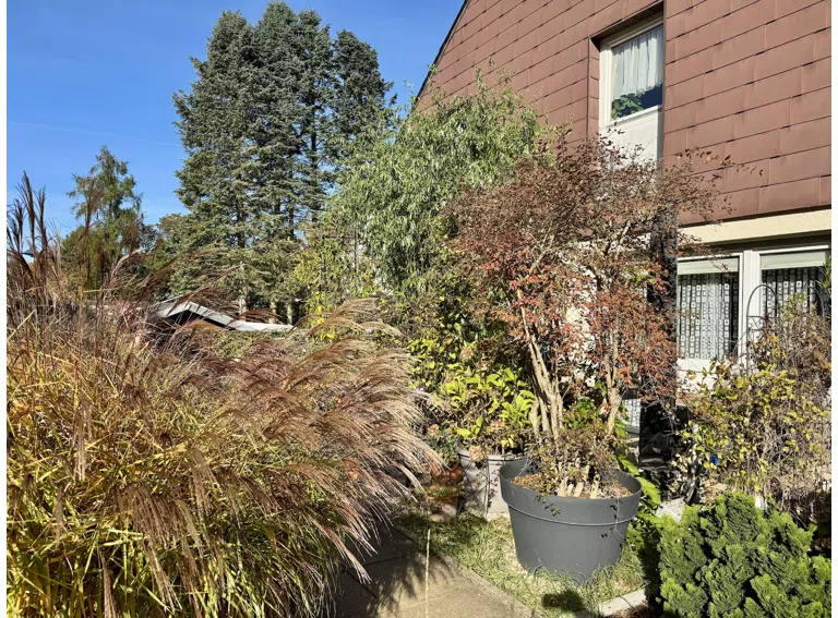 Die Terrasse