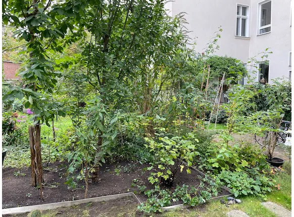 Der Garten