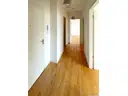 Diele