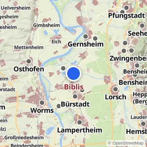 Kartenvorschau Biblis