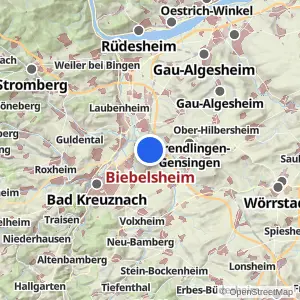 Kartenvorschau Biebelsheim