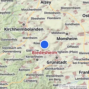 Kartenvorschau Biedesheim