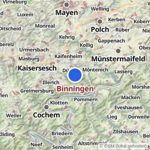 Kartenvorschau Binningen