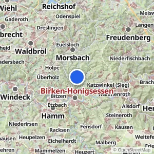 Kartenvorschau Birken-Honigsessen