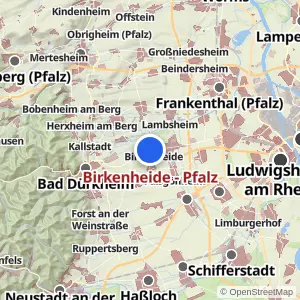 Kartenvorschau Birkenheide - Pfalz