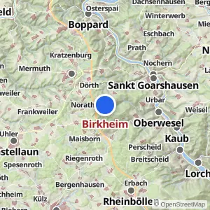 Kartenvorschau Birkheim