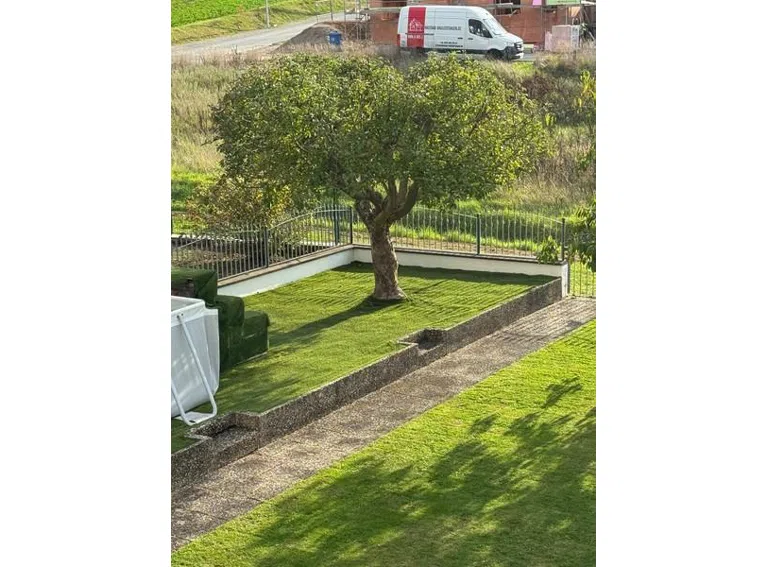 12 Garten Rückseite