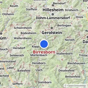 Kartenvorschau Birresborn