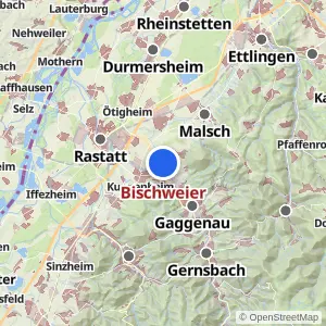 Kartenvorschau Bischweier