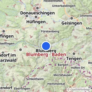Kartenvorschau Blumberg - Baden