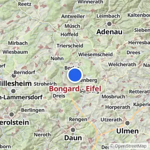 Kartenvorschau Bongard - Eifel